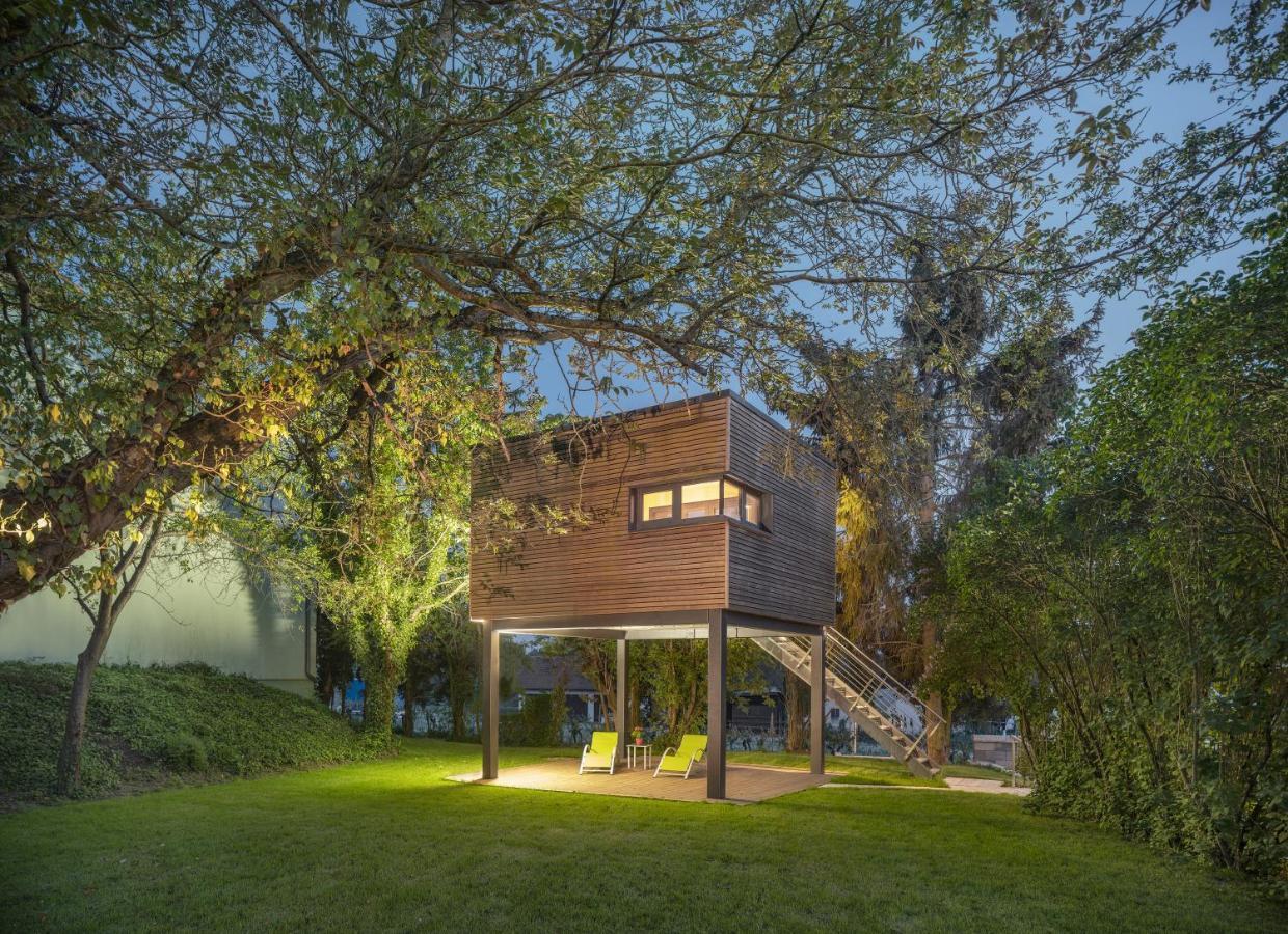 Apartmán Baumhaus Im Vogelgesang Heuchelheim-Klingen Exteriér fotografie